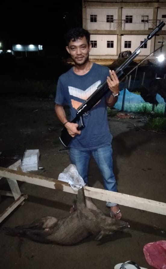 Jual Senapan Angin di Lubuklinggau: Keunggulan Senapan Goppul Night Furry dari Indosniper